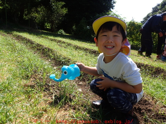 d0105749_16100028.jpg