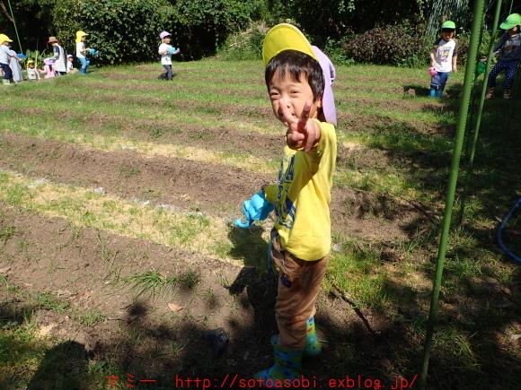 d0105749_16120072.jpg