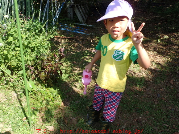 d0105749_16154708.jpg
