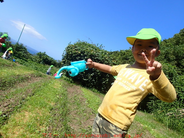 d0105749_16165909.jpg