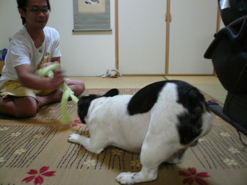 あの日以来初めて家族になりたいと思う気持ちが蘇った自分にビックリ_b0307951_17422649.jpg