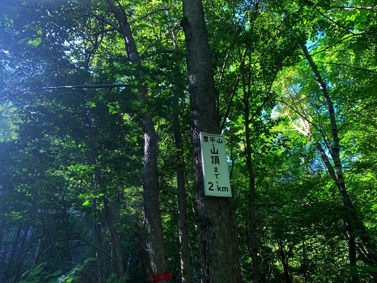 e0105954_0381351.jpg