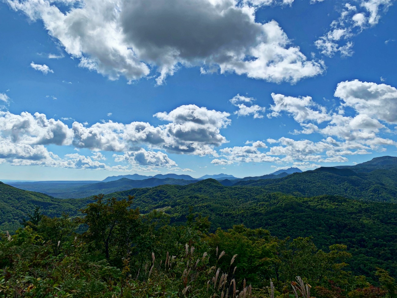 e0105954_110291.jpg