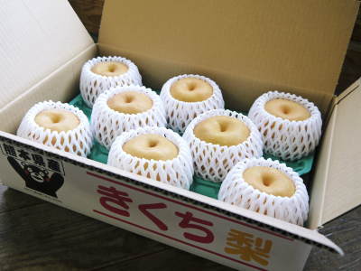 熊本梨 「本藤果樹園」今年も幸水、秋麗、豊水、完売御礼!ジャンボ梨『新高』は9月27日より出荷!_a0254656_17543289.jpg