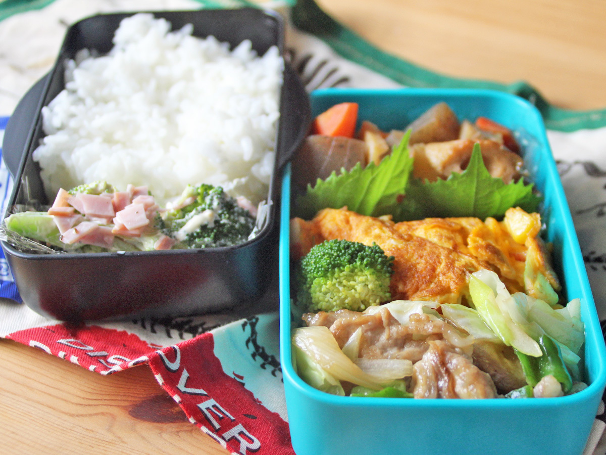 息子のお弁当と貴重な感想_a0216871_08551464.jpg