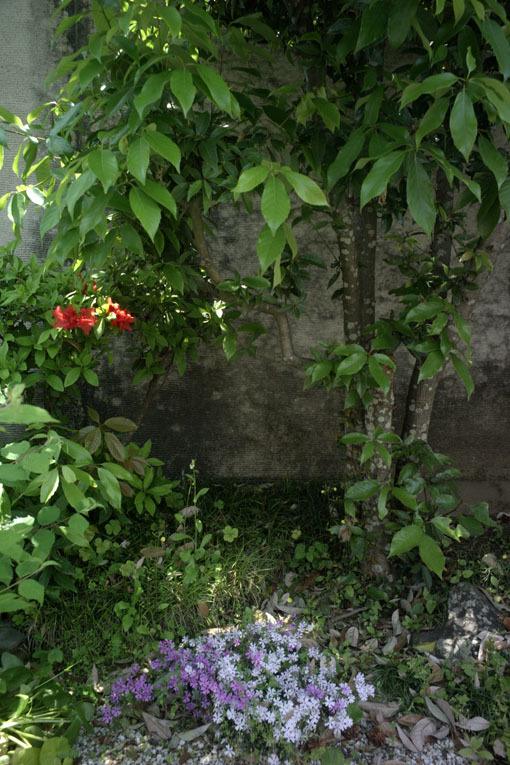 c0168172_11571757.jpg