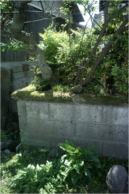 c0168172_12075035.jpg