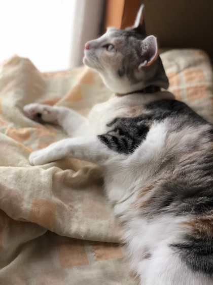 艶子_e0355177_14560919.jpg