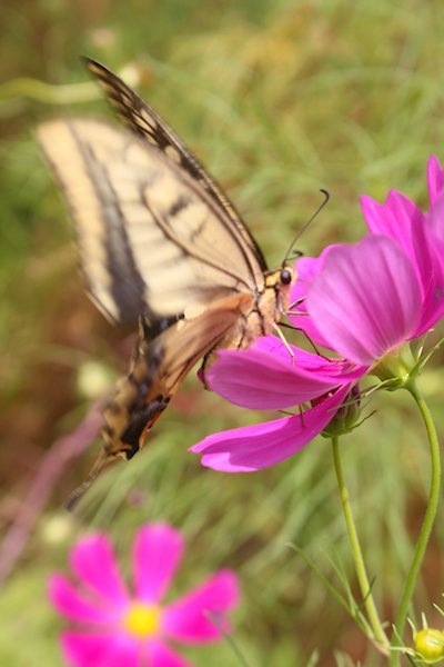 f0329082_04424100.jpg