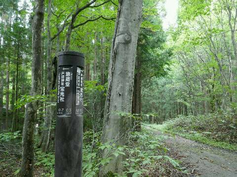 2019.9.13 戸隠古道ウォーキング その２_d0115985_10332496.jpg