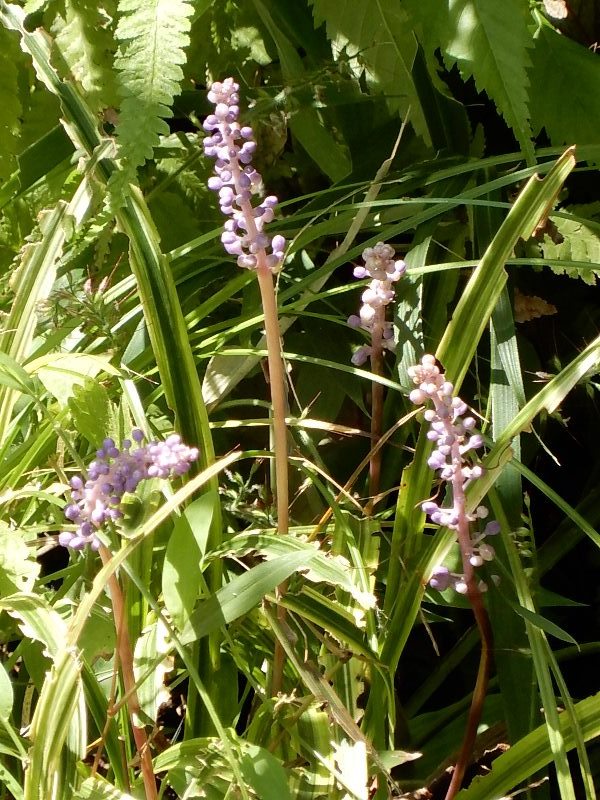 e0025300_20475131.jpg