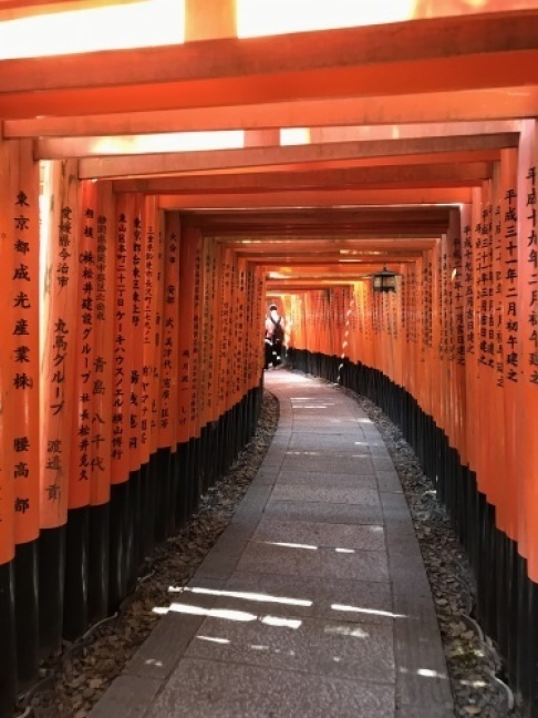 初めての伏見稲荷大社へ 連れてって貰う_a0346704_19141031.jpg