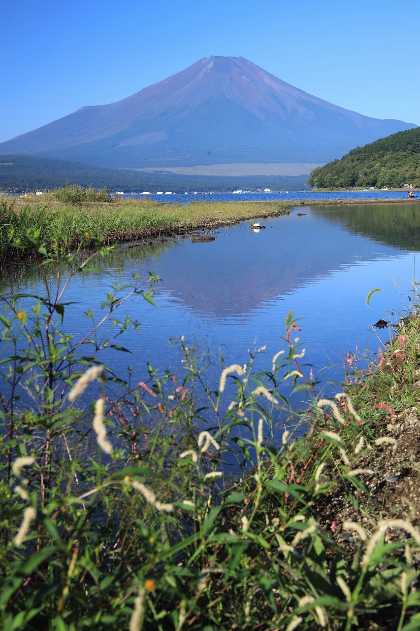 日曜日の山中湖_a0188405_21574223.jpg