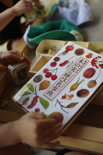 木の実の図鑑 ー ー 陽だまりの小窓 菊の花幼稚園保育のようす