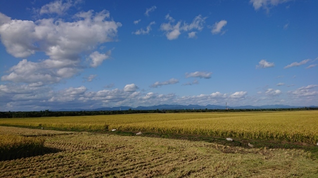 b0035611_18324087.jpg
