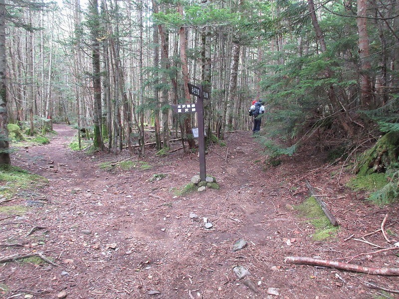 北八ヶ岳 稲子岳の古典ルートを登る 南壁左カンテルート Rock Climbing In Mount Inago Northern Yatsugatake Mountains やっぱり自然が好き 北八ヶ岳 稲子岳の古典ルートを登る 南壁左カンテルート Rock Climbing In Mount Inago Northern Yatsugatake Mountains やっぱり自然が好き