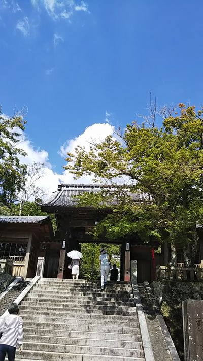 修善寺　嵯峨沢館　１泊２日_e0047322_23334623.jpg