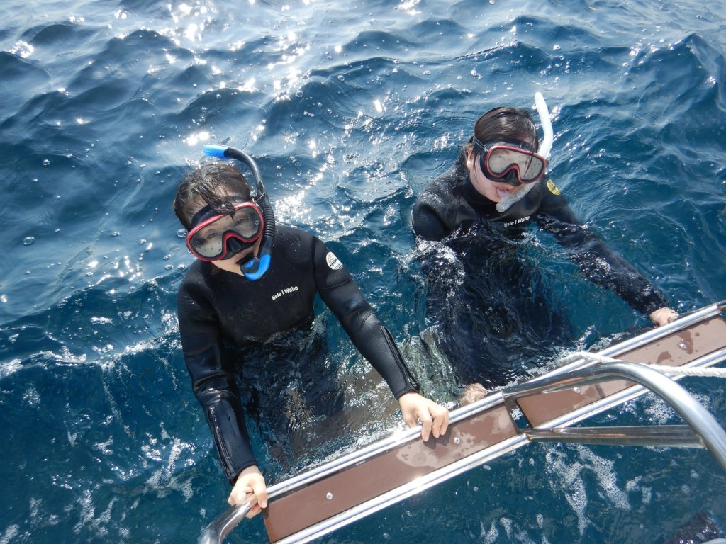 a0189838_16333640.jpg
