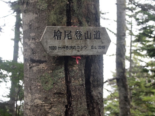 檜尾岳(2,728m) 2019年9月17日_b0319255_13322353.jpg