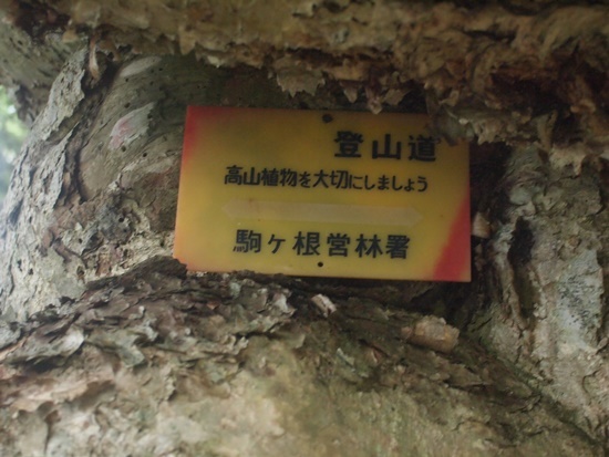 檜尾岳(2,728m) 2019年9月17日_b0319255_13395911.jpg