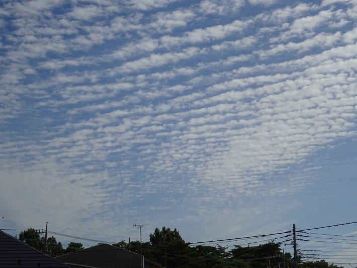 d0052263_09334893.jpg