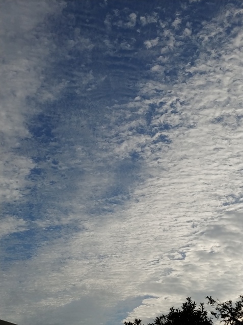 c0162773_14065972.jpg
