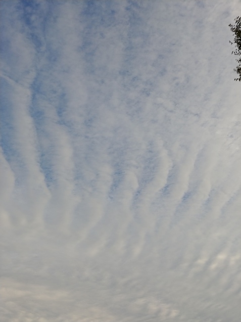 c0162773_14073062.jpg