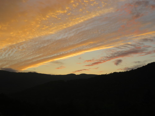 f0259373_12543403.jpg