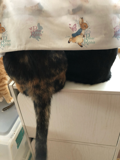 素敵すぎる「いいね~」_e0355177_16005365.jpg