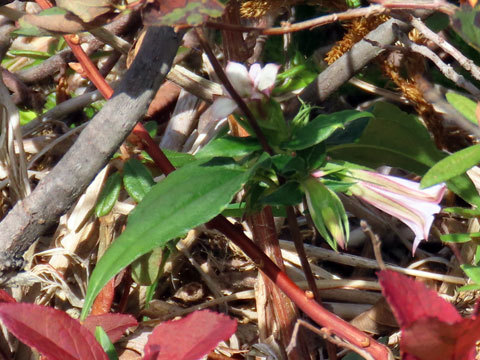 f0083977_21592701.jpg