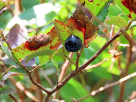 f0083977_22005353.jpg