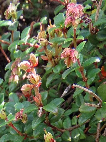 f0083977_22030932.jpg