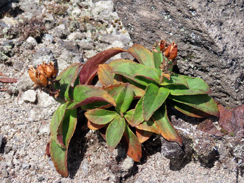f0083977_22033477.jpg
