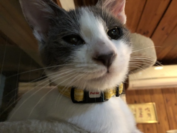 b0377882_09523265.jpeg