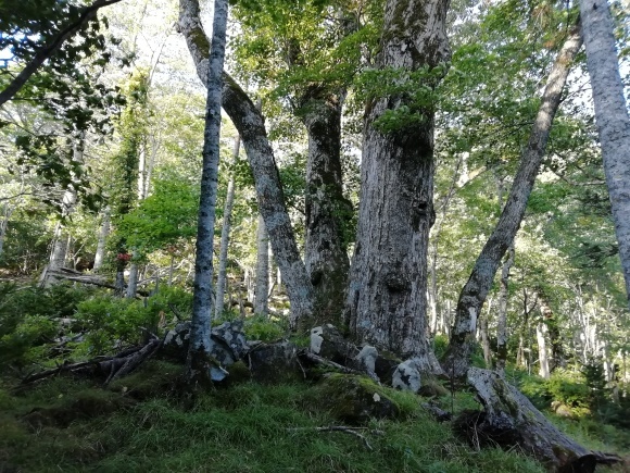c0212083_19031973.jpg