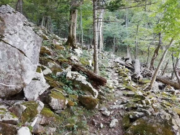 c0212083_19124161.jpg
