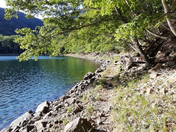 c0212083_19135555.jpg