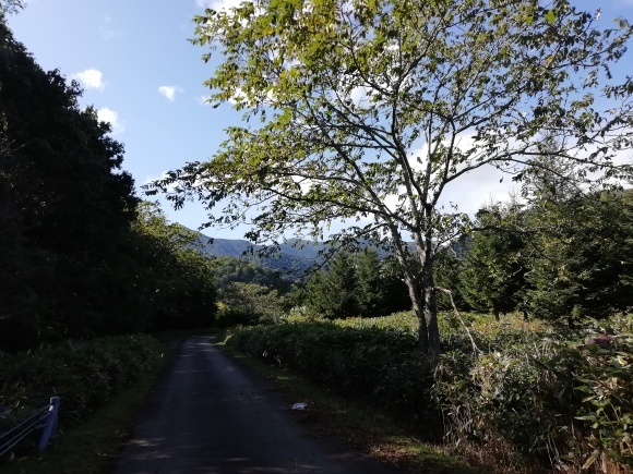 c0212083_19234893.jpg