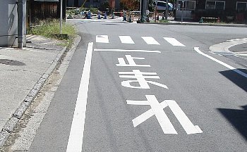 f0003283_07591865.jpg