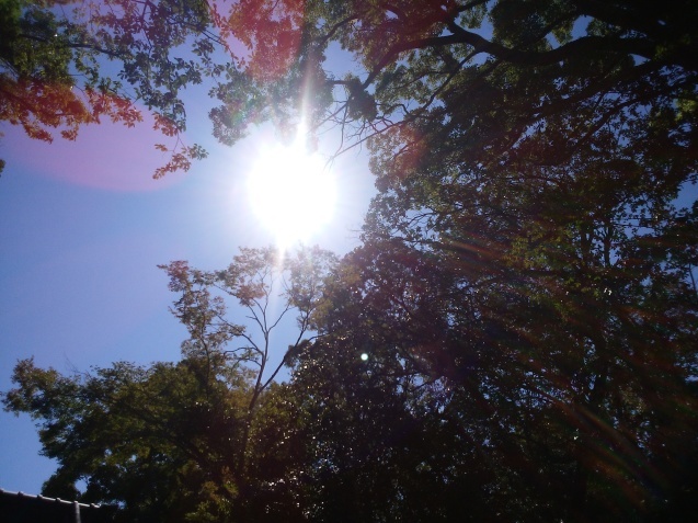 e0371086_20464985.jpg