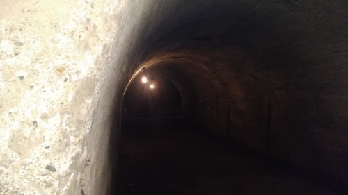 f0166694_19153073.jpg
