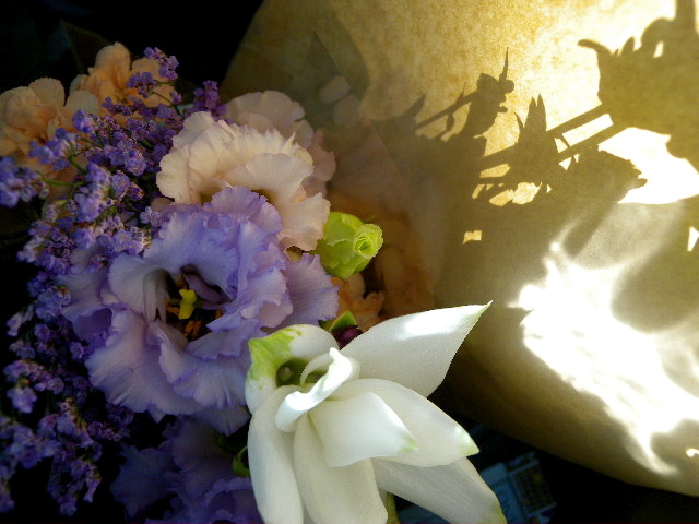 a0199297_23254410.jpg