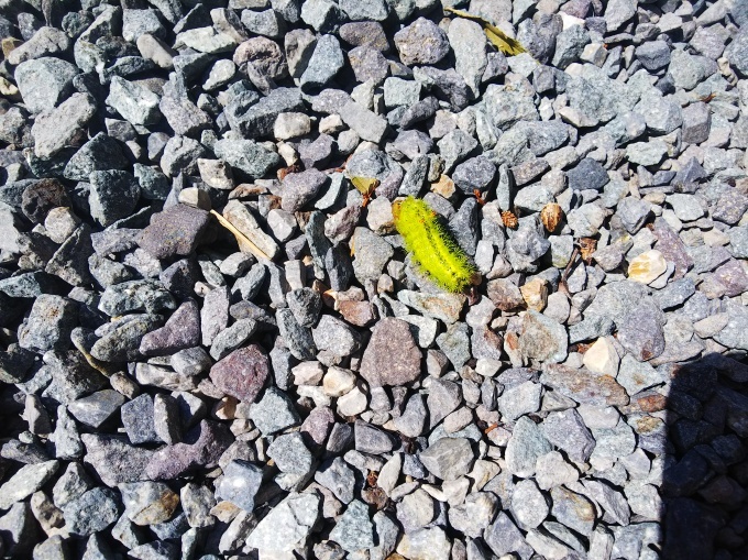 秋風を羽織る 192_b0239402_17113863.jpg