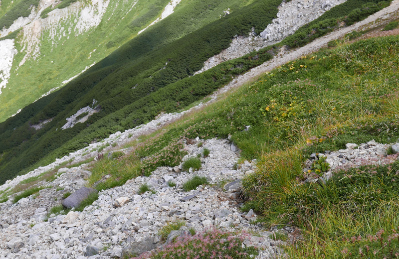 立山登山（再チャレンジ）　中篇の後半_d0161702_18543516.jpg