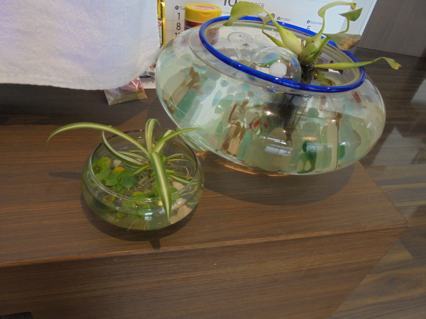 f0299108_11474254.jpg
