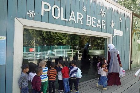 アルマトイ動物園へ ～ アリコルさん、はじめまして！_a0151913_22552676.jpg