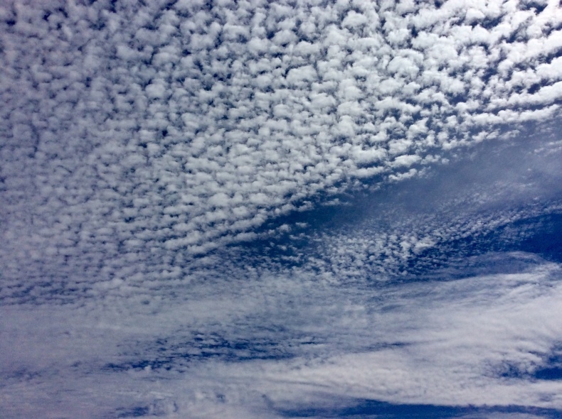 うろこ雲 風のとおる家から