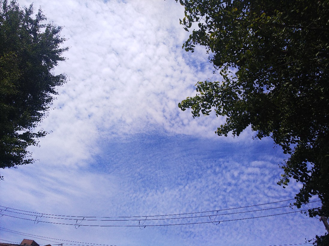 秋雨_a0098418_22543649.jpg
