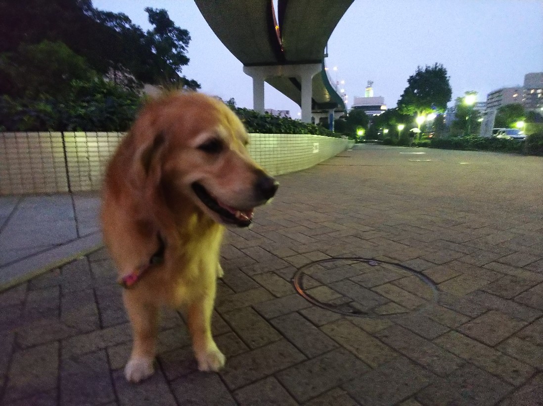 秋雨_a0098418_22543796.jpg