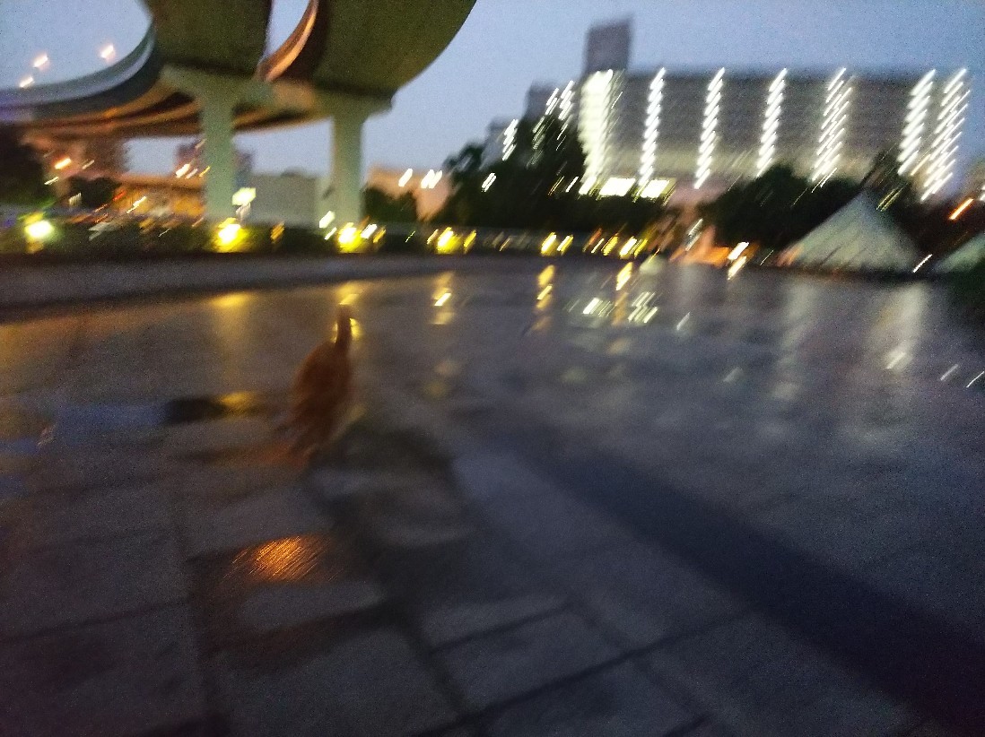 秋雨_a0098418_22572402.jpg